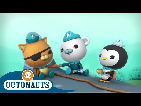 Octonauts - Saving Sharks | Cartoons for Kids | Underwater Sea Education