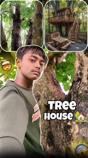 Tree House Hunt Begins 🌳 #MiniVlog [ Day 10 ]