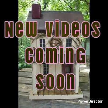 Amazing birdhouses that you can make.