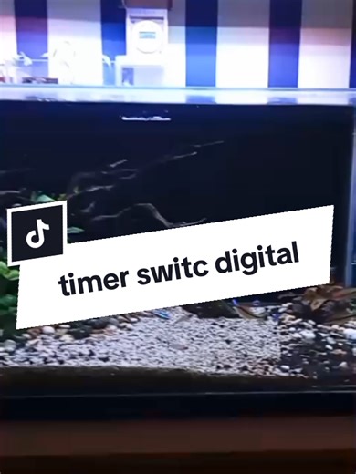 TIMER SWITC DIGITAL 220/12V#timerdigital #timeronoffdigital