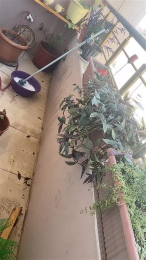 Effective Balcony Cleaning Tips for a Fresh Outdoor Space