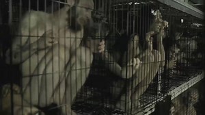 1.5K views · 621 reactions | These conditions aren't suitable for...