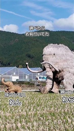 愛媛で偶然見つけたわらマンモス｜道沿いで二度見した