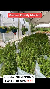 Graves Family Market on Reels