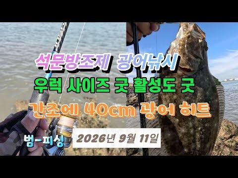 석문방조제 광어낚시 우럭 마릿수 간조물때 에 40cm 광어 히트~