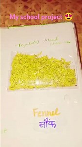 my science project #project