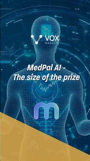 MedPal AI: The size of the prize
