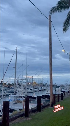 HARBOR HOUSE #restaurant #konahawaii #bigislandhawaiivlog