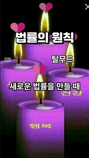 법률의 원칙