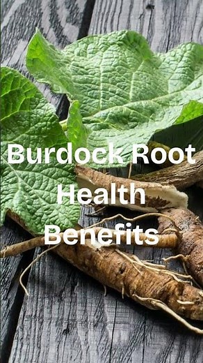 Burdock Root! Herbs for your Health!