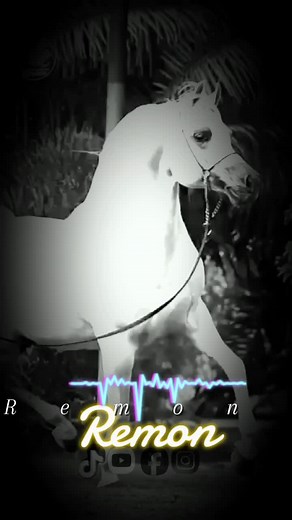 الرجاله زي البخور بالظبط 👌👌 الفديو طالع من سوهاج وصل فين يا زعيم 👌#ريمون_بيه_رافت_ال_متري #سوهاج_قنا_اسيوط_اسوان_المنيا_الاقصر