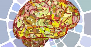 How does the brain process speech? We now know the answer, and it’s fascinating