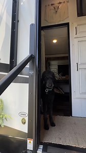 With plenty of storage space, bunk rooms and multiple living areas, fifth wheel RVs make a great home away from home for families looking to travel more. Could you see your family in an RV like this? go.thorindustries.com/fifth-wheel-families Featured RV: Heartland RVs Bighorn | THOR Industries, Inc.