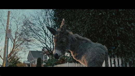 JACK 96.9 Calgary on Instagram: "Is this RONA ad the best commercial on TV right now? We think so! - The Marc Michaels Show"