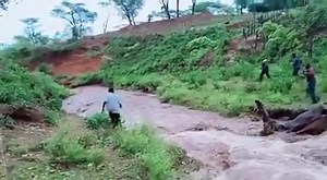 1.3M views · 21K reactions | Now, This games should STOP forthwith. ________________________________________________ Subscribe to our youtube channel : https://youtube.com/channel/UC_jsV7ui9dBO8nAYT_QXqlw | DMK Media Group | Facebook