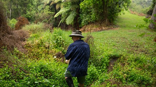 To save its rare birds, New Zealand is relying on a nation of backyard trappers