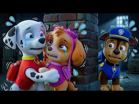 Paw Patrol: CHASE IS HEARTBROKEN! 😭💔 Skye Loves Marshall Now? | 3D Animation