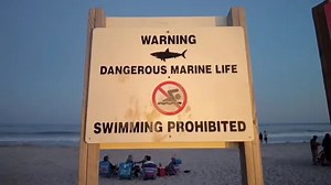 Un sauveteur attaqué par un requin dans le Long Island