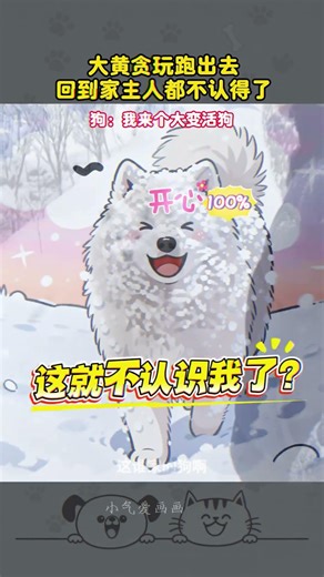 Mystery Unveiled: Samoyed's Unbelievable Transformation to a Yellow Giant