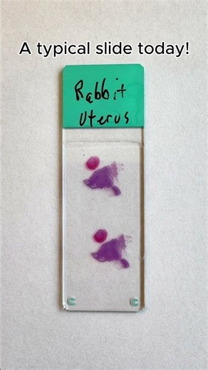 The Evolution of Histology!
