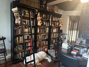 Watch Sturdy, beautiful & well built library bookcases with ladder on Amazon Live