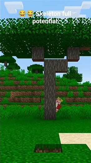 Java skeleton vs Bedrock skeleton #minecraft #minecraftshorts #minecraftgamers #mcpe #shorts #viral