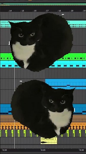 oiia oiia (yeppiiprods REMIX)