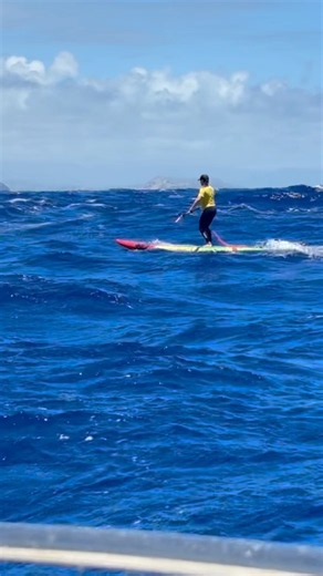 Surfing in the Kaiwi Channel 🌊🏄‍♀️
