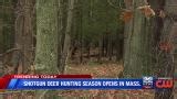 Shotgun deer hunting season opens in Massachusetts