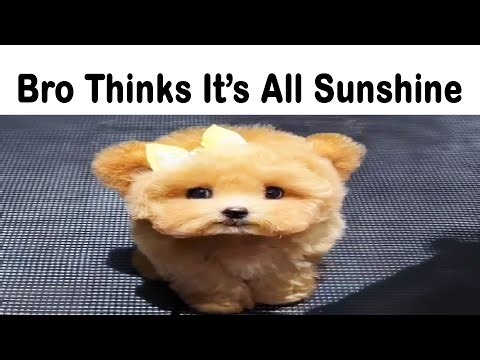Bro Thinks It's All Sunshine And Rainbows