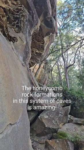 A hike to see honeycomb rock formations in Richters Caves 📍Ourimbah, NSW, Australia ⛰️ video taken with phone. More footage from this hike on YouTube (channel link in bio) . . . . . . #videography #videographer #samsung #samsungs23 #samsungs23ultra #samsungs23ultraphotography #samsungphone #nature #remotetrails #hike #hiking #outdoor #outdoors #outdooradventures #hikeau #hikeaustralia #bushland #view #scenery #MyWildEarth #feelNSW #hikingtheglobe #bushwalking #bushwalk #nswstateforest #cave #ca