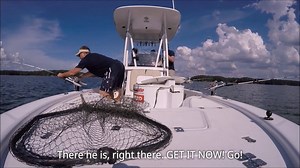 10K views · 102 reactions | Yes, you do need a fish finder! Captain Mike Smedley shows how his fish finder is sometimes the only reason he’s able to make his fishing trip a success. Watch ⬇️ #TeamSimrad | Simrad Yachting | Facebook
