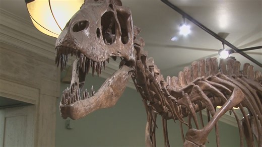 Dino Fest at the Buffalo Museum of Science