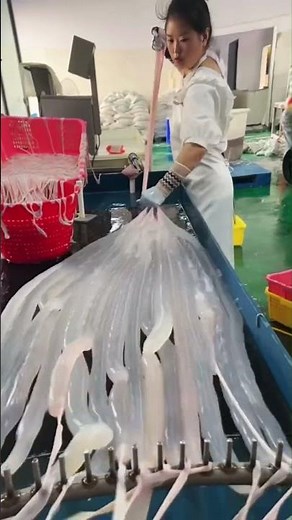 Casing factory #casing #sausage