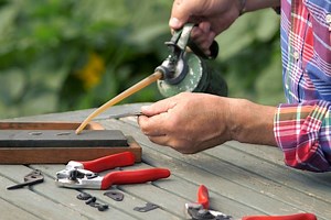 A guide to sharpening secateurs