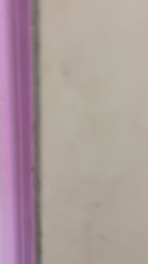 Temperature Variations in Texas: 37° Overnight to 81° Later Today