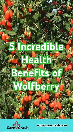 5 Incredible Health Benefits of Wolfberry | #carecrash