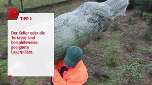 4.3K views | Weihnachtsbäume haben bei uns Tradition. Damit die Tanne lange frisch bleibt, sollte man ein paar Dinge beachten : | WAZ | Facebook