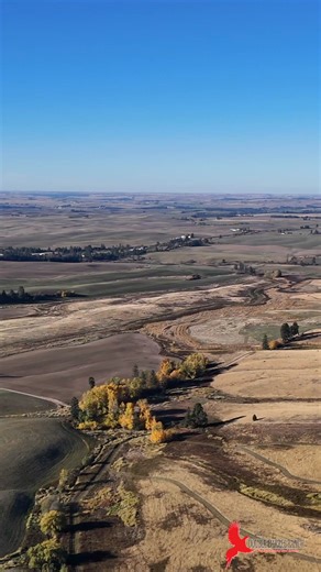 Your first pheasant hunt should be exciting — not intimidating. At Double Barrel Ranch, we make sure of it. Our professional guides walk you through everything you need to know, and our highly trained guide dogs put you right on the birds. 🐾💥No experience? No problem. We specialize in helping first-timers get comfortable, get confident, and get in on the action fast. From safety tips to shooting pointers, we’ve got you covered so you can focus on the thrill of the hunt. This fall, make your fi