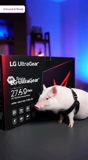 LG - UltraGear 27" OLED QHD 280Hz 0.03ms G-Sync and FreeSync Premium Pro Gaming Monitor with HDR500