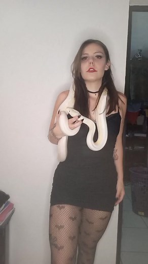 you have just sssealed your doom 😍💫😍💫😍💫😍💫🐍🐍🐍#snakecoils #kaa #kaathesnake #hypno #hypnosis #hypnose #snakelover #goth #gothgirl #gothgf #snakesoftiktok #snakecharmer #snakehypnotism