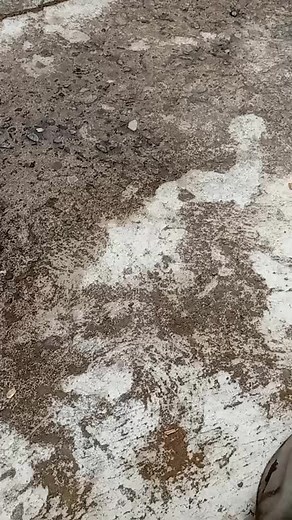 manual #fypシ #xyzbca #skuter #biled #knalpotbrong #nocaption #biledprojector #yungiyung