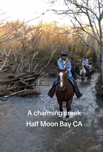Explore Horse Riding in Half Moon Bay, California