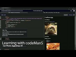 Learn HTML by Building a Cat Photo App - Step 29