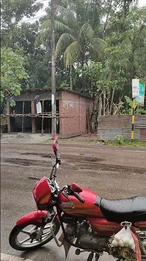 🌧️ A Rainy Day Vibe | Calm & Aesthetic Rain Moments | Nature Short