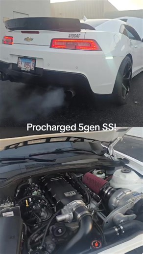 Clean 5gen Camaro in for a forged ls3, choppy cam & a Procharger. We can build these from fun street car to race car status. #procharger #camaro #cammed #chop | Juiced Motorsports