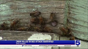 Man killed in Rio Hondo bee attack identified