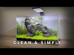 Making a Clean & Simple Nano Aquascape