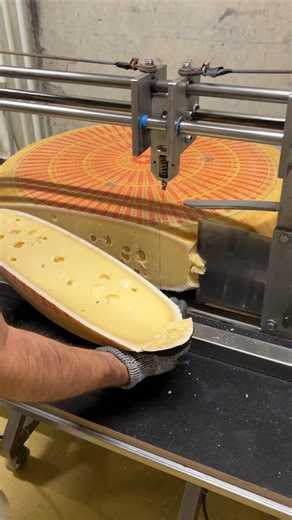 How real Swiss cheese is made
