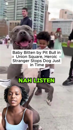 Heroic Stranger Saves Baby from Dog Attack in Union Square